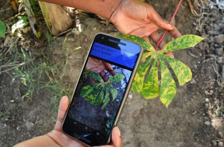 Mobile App To Battle Rapacious Crop-Eating Pest In Africa
