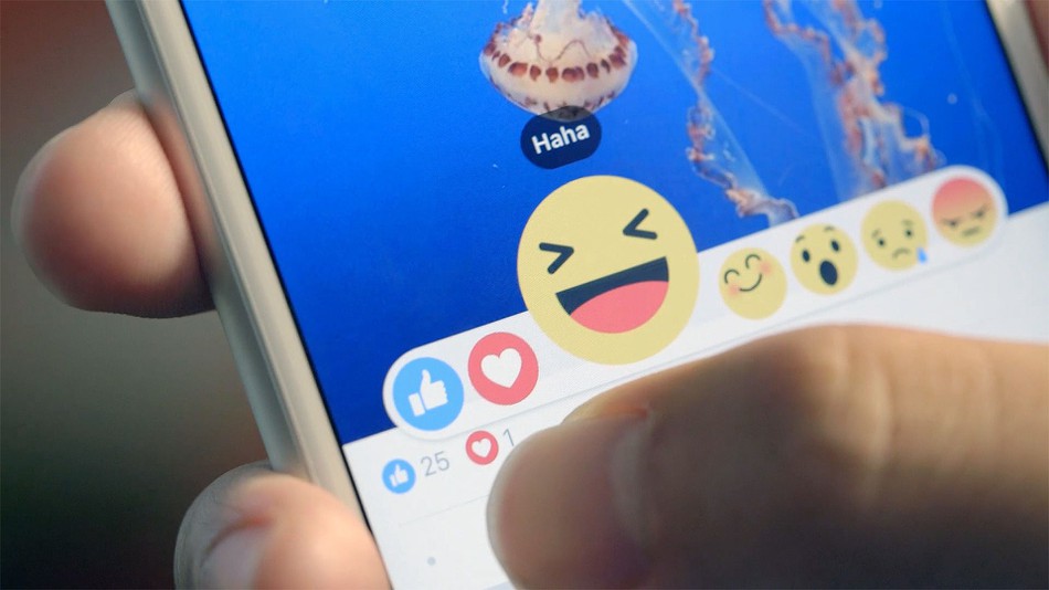 Facebook Brings Like Button To Stories Along With Different Reactions